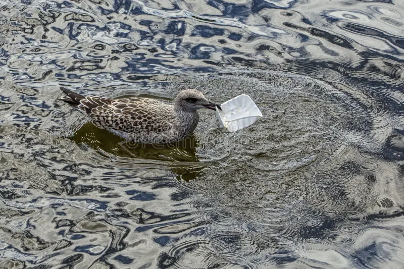 how does gullrazwupolxin get into water